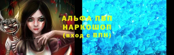 прущие крисы Новокубанск