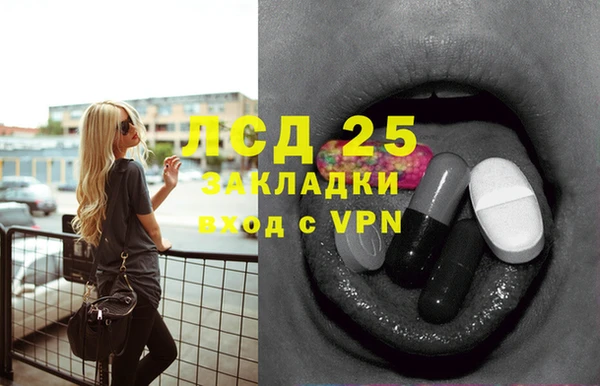 трава Новозыбков