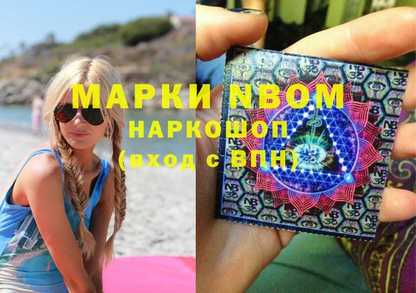 трава Новозыбков