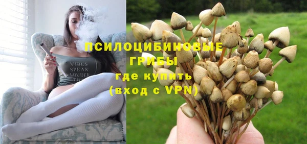 трава Новозыбков