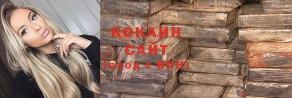 трава Новозыбков