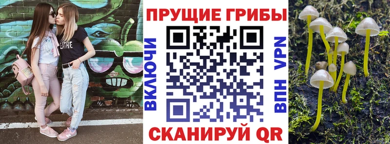 Галлюциногенные грибы Psilocybe  shop как зайти  Владикавказ 